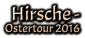 Hirsche - Ostertour 2016